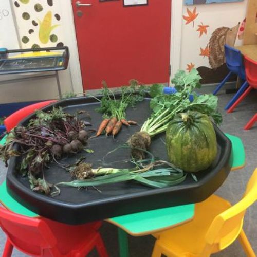 P2’s Vegetable Patch!